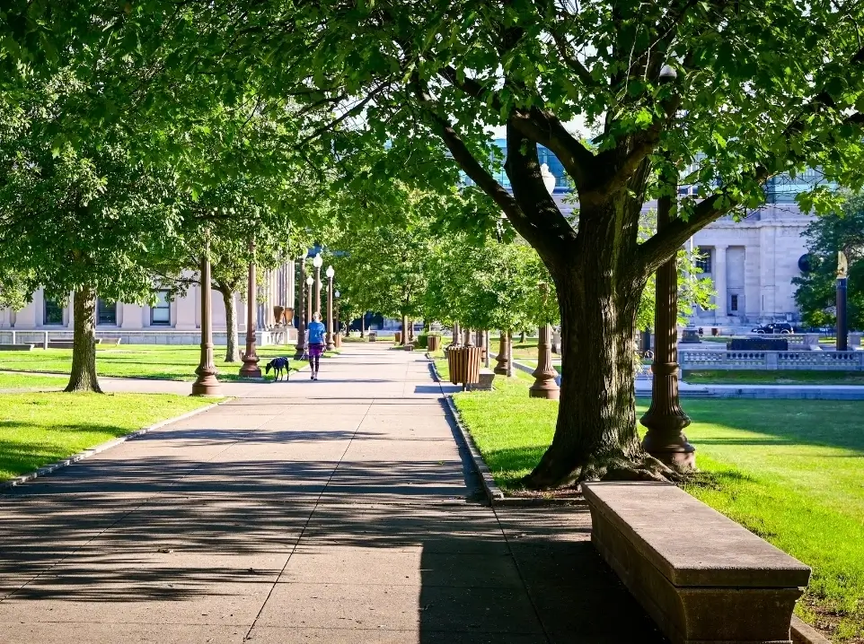 Sincan Park Düzenleme