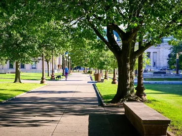 Ankara Park Düzenleme